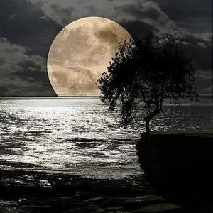 Meet your Posher, Jean